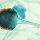 Illustration for article titled Bar code spores will help you track where you got food poisoning
